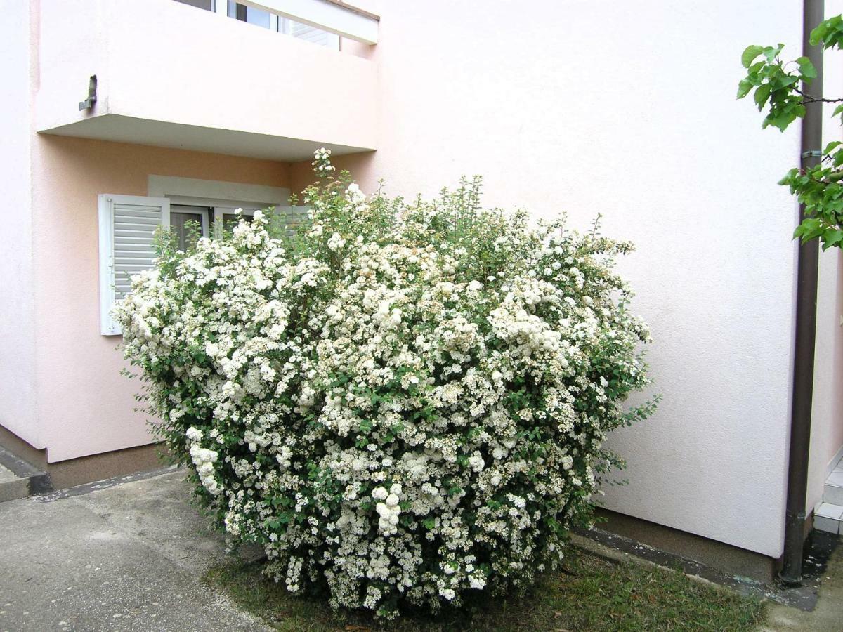 Apartments Sokolovic كرك المظهر الخارجي الصورة